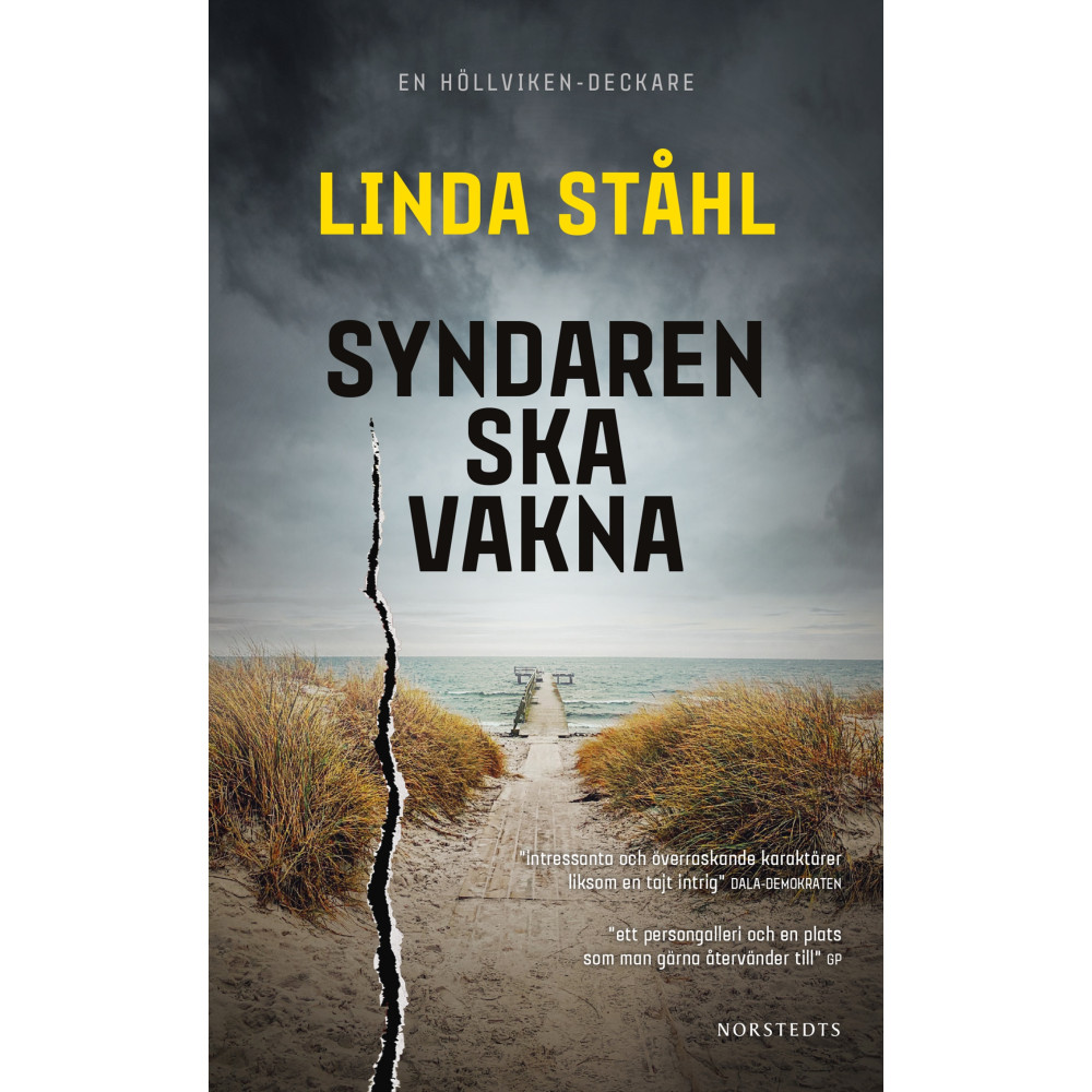 Produktbild för Syndaren ska vakna (pocket)