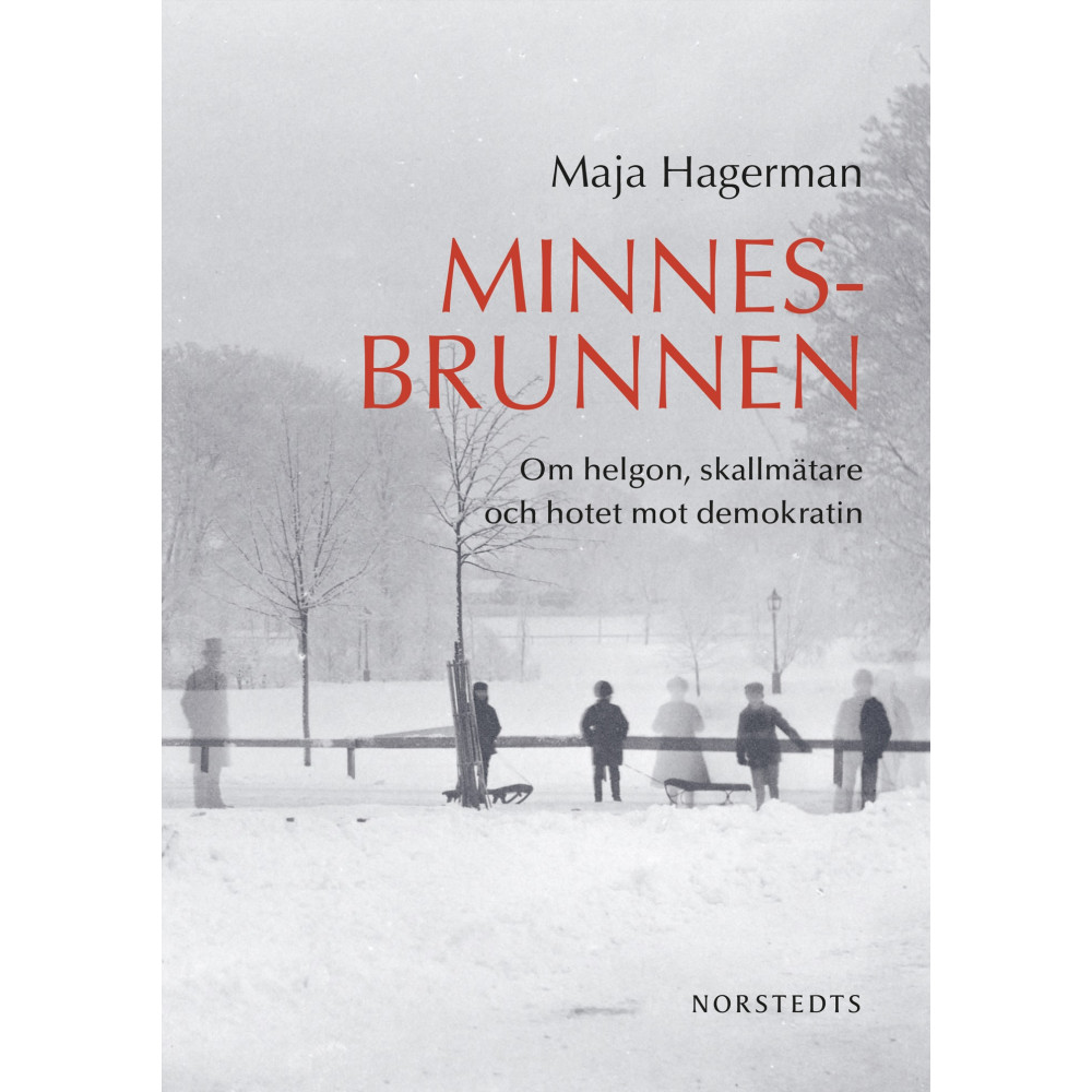 Produktbild för Minnesbrunnen : om helgon, skallmätare och hotet mot demokratin (inbunden)