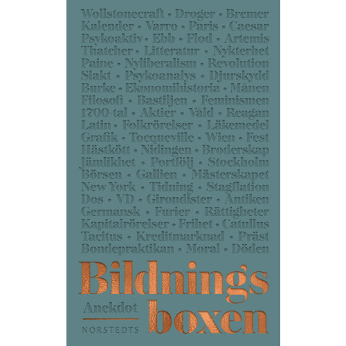 Lena Halldenius Bildningsboxen (häftad)