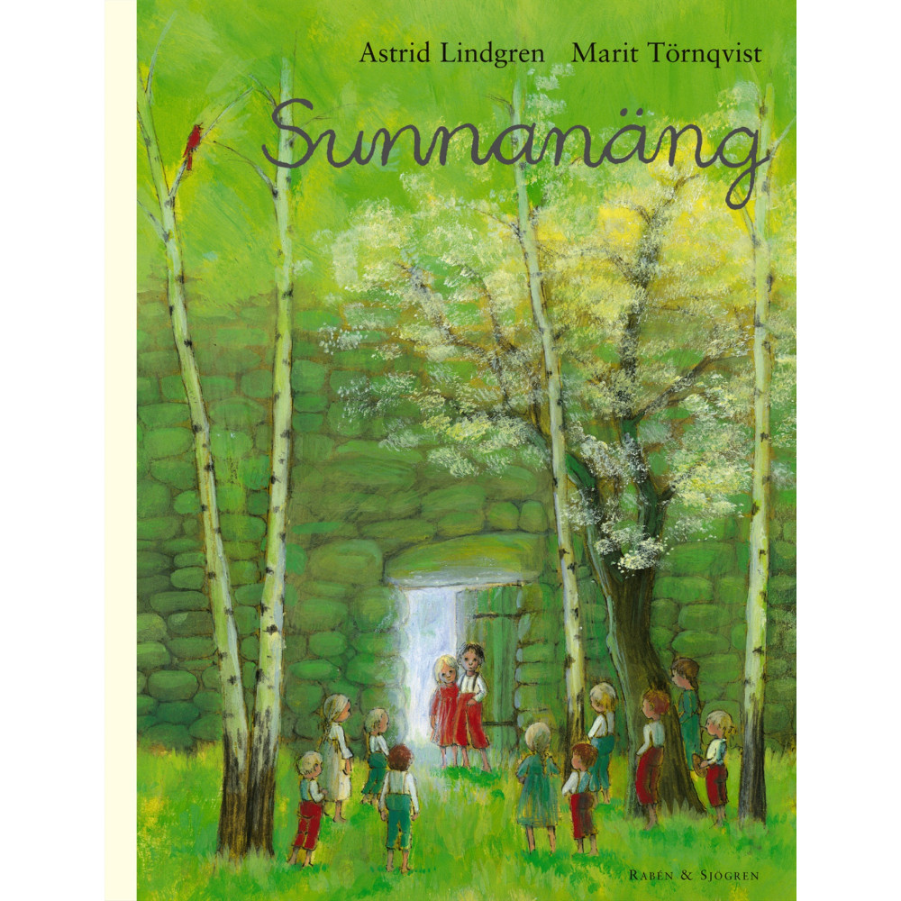 Produktbild för Sunnanäng (bok, kartonnage)