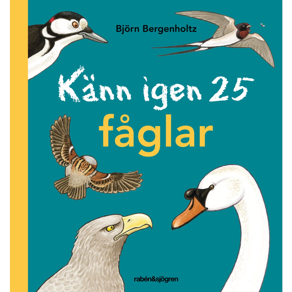 Produktbild för Känn igen 25 fåglar (inbunden)