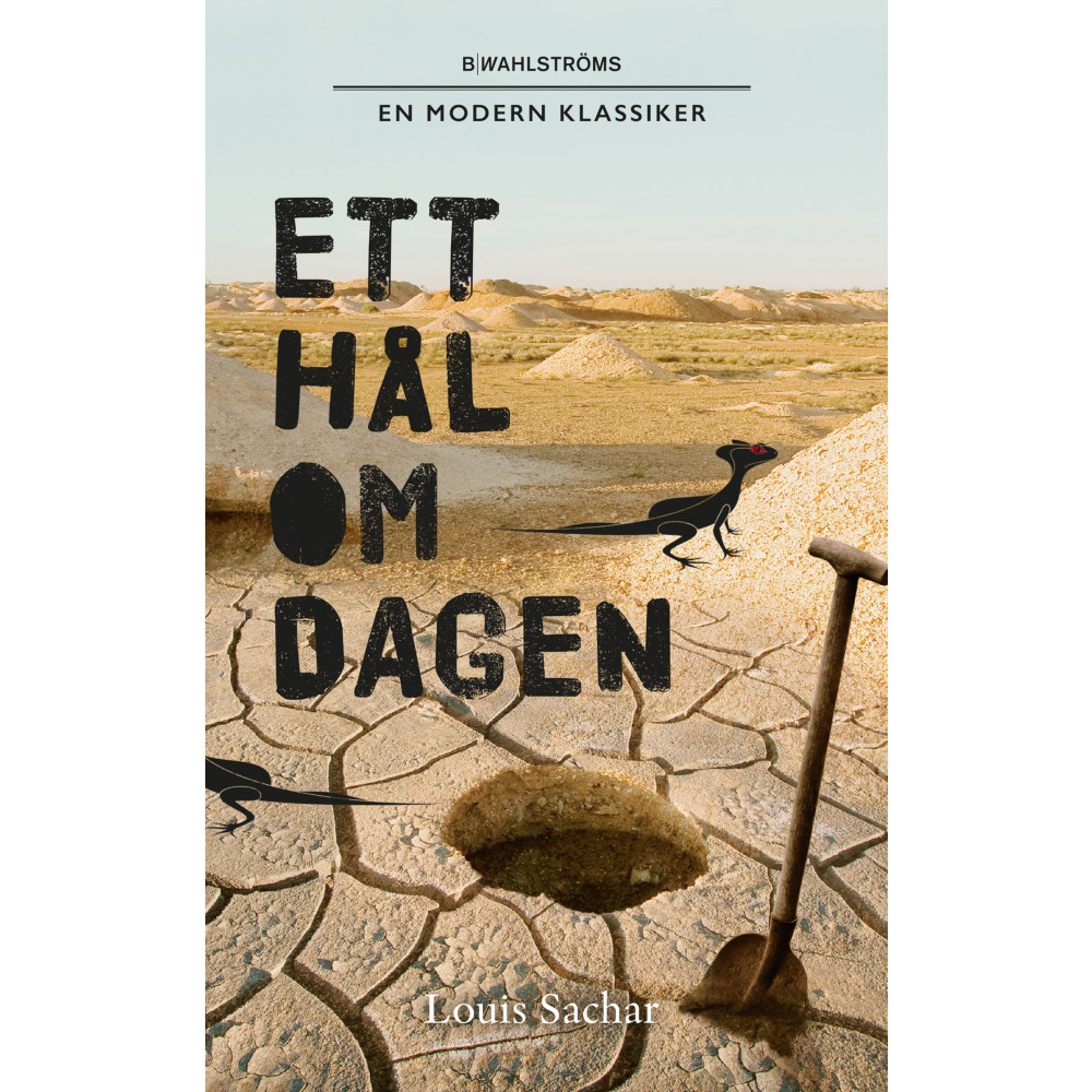 Produktbild för Ett hål om dagen (pocket)