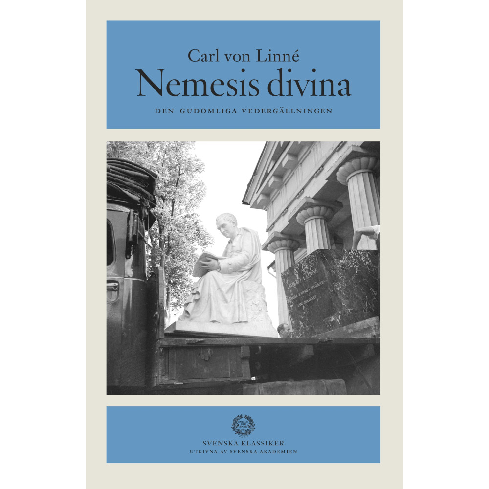 Produktbild för Nemesis divina : den gudomliga vedergällningen (inbunden)