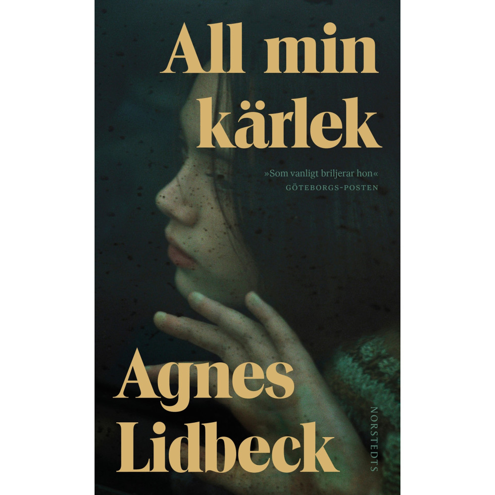 Produktbild för All min kärlek (pocket)