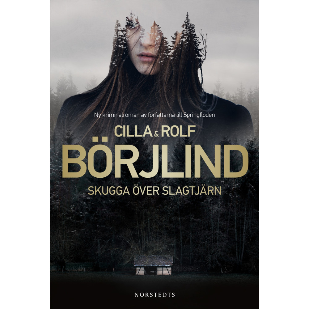 Produktbild för Skugga över Slagtjärn (inbunden)