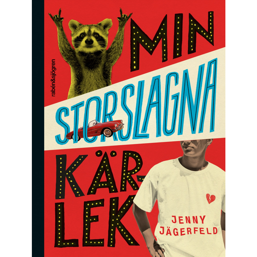 Produktbild för Min storslagna kärlek (inbunden)