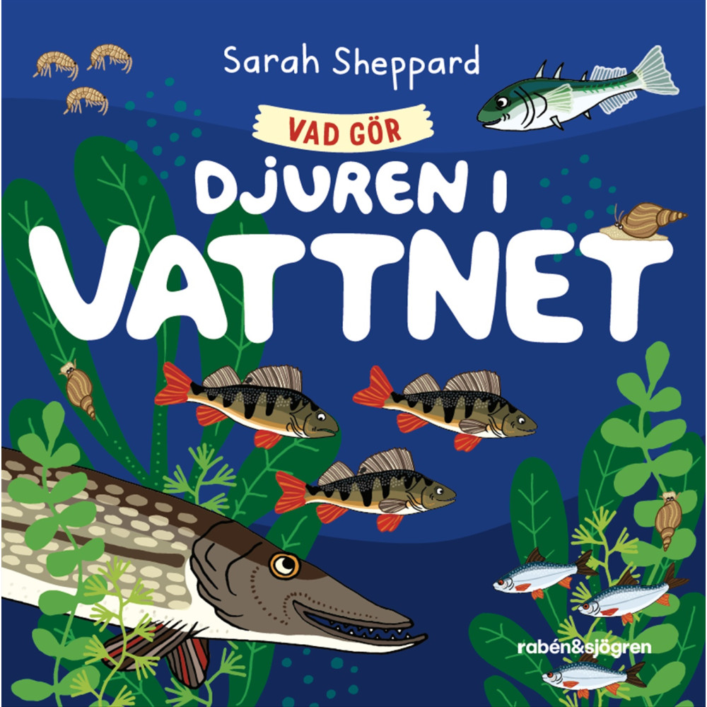 Produktbild för Vad gör djuren i vattnet? (bok, board book)