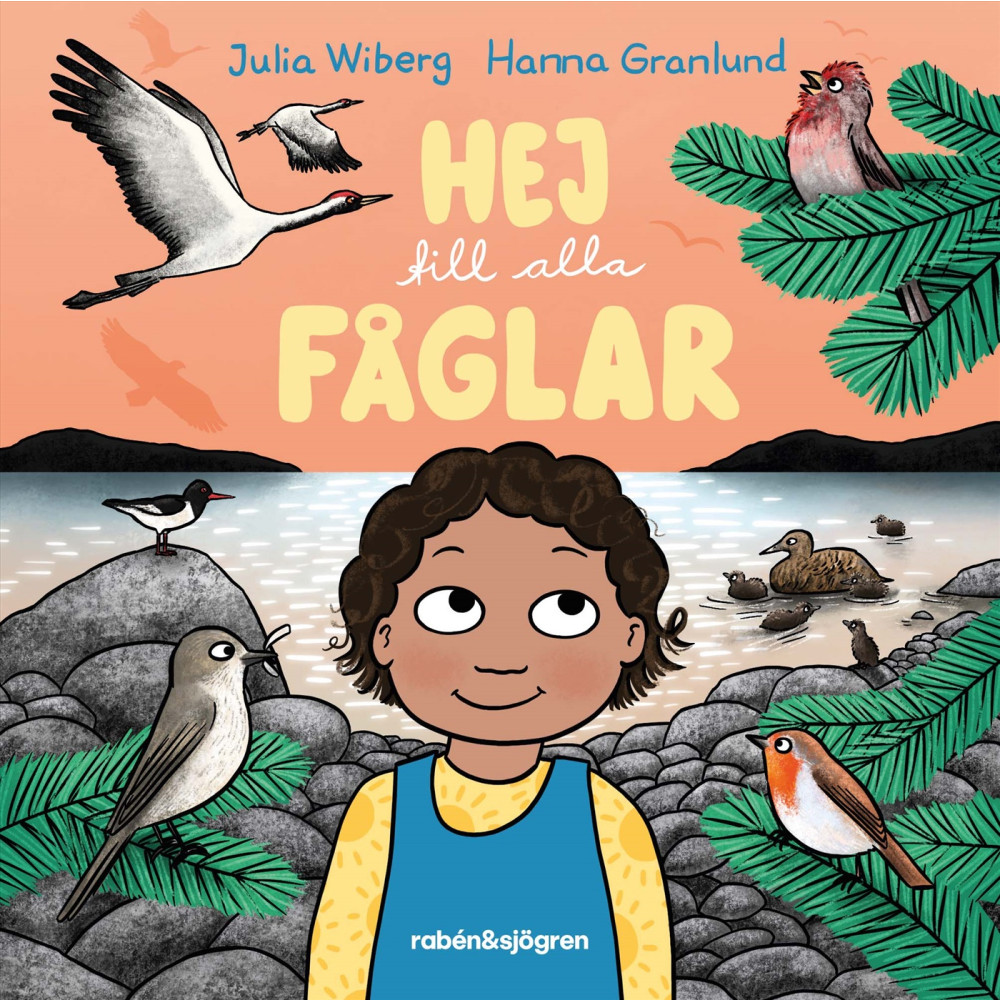 Produktbild för Hej till alla fåglar (bok, board book)