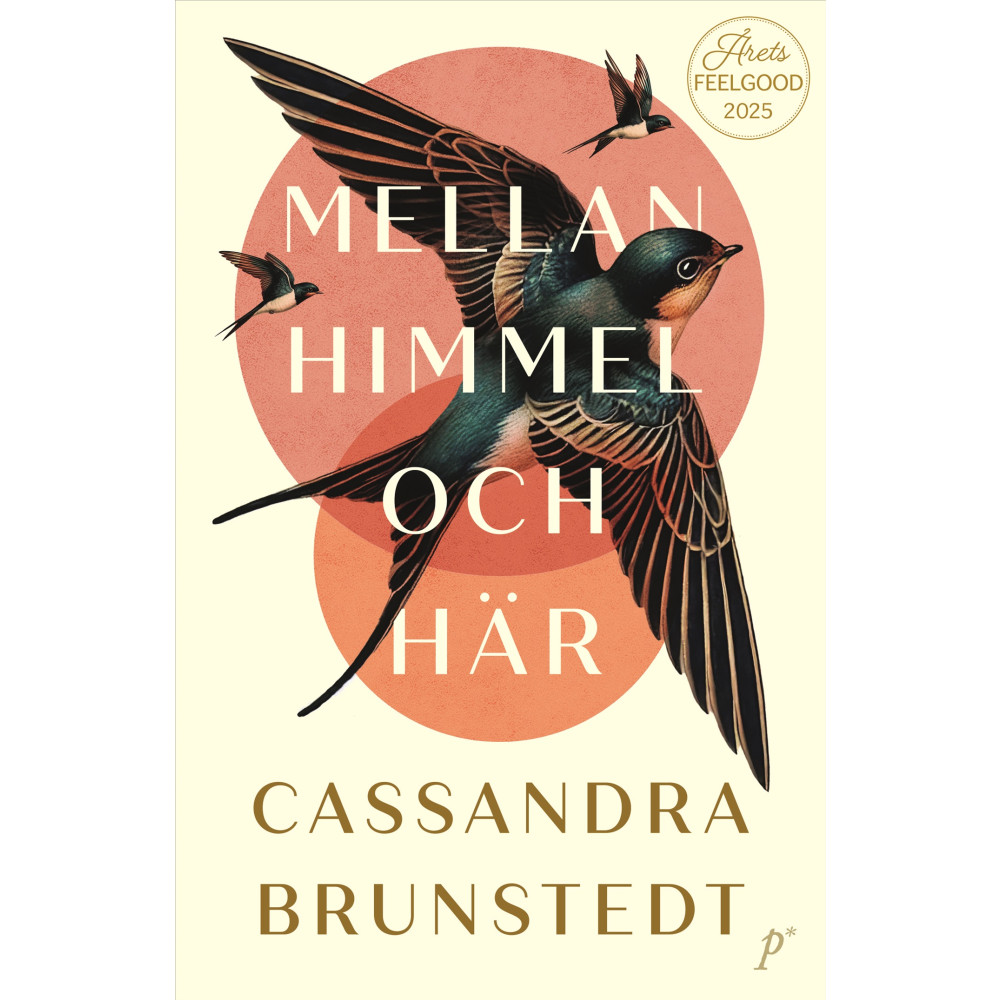 Produktbild för Mellan himmel och här (pocket)