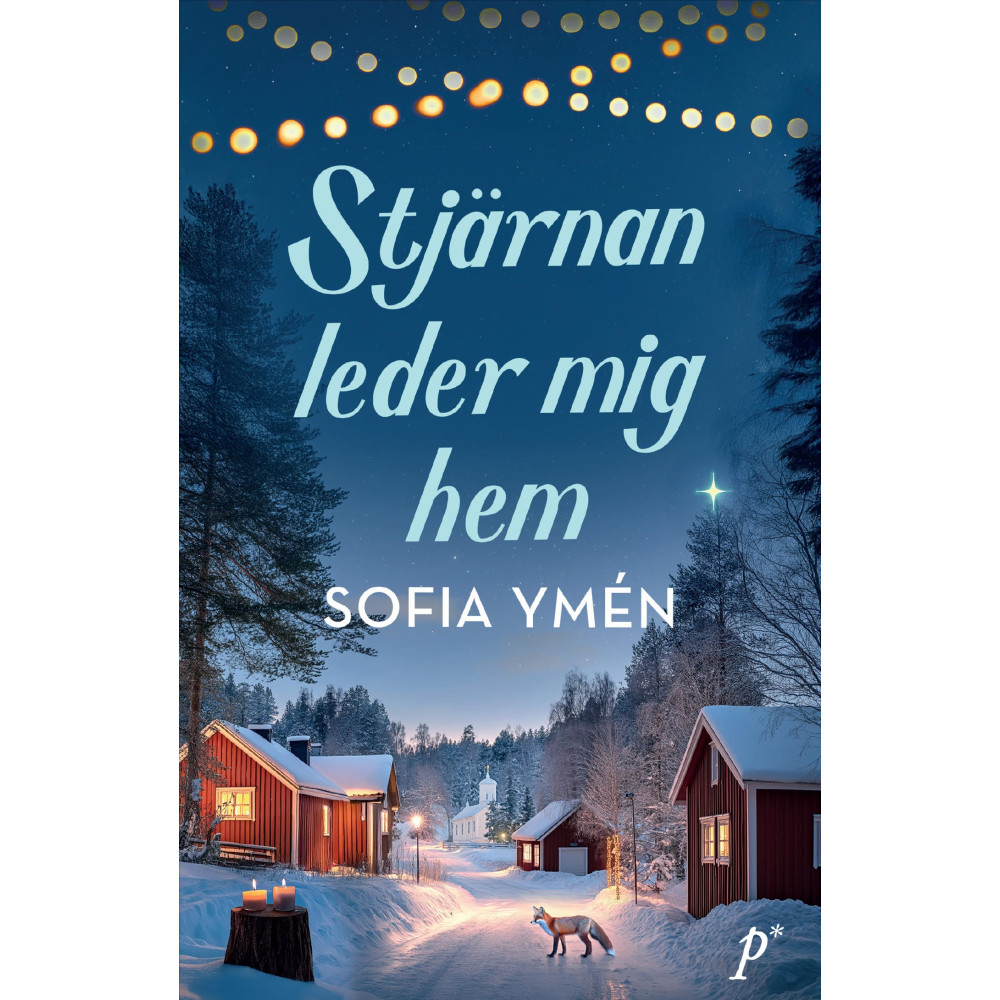 Produktbild för Stjärnan leder mig hem (inbunden)