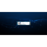 Produktbild för Kingston Data Center DC2000B - SSD - Enterprise - 240 GB - PCIe 4.0 x4 (NVMe)