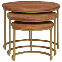 Produktbild för Nesting Kaffe Bord 3 pcs Honung brun Massivt Mangoträ och stål