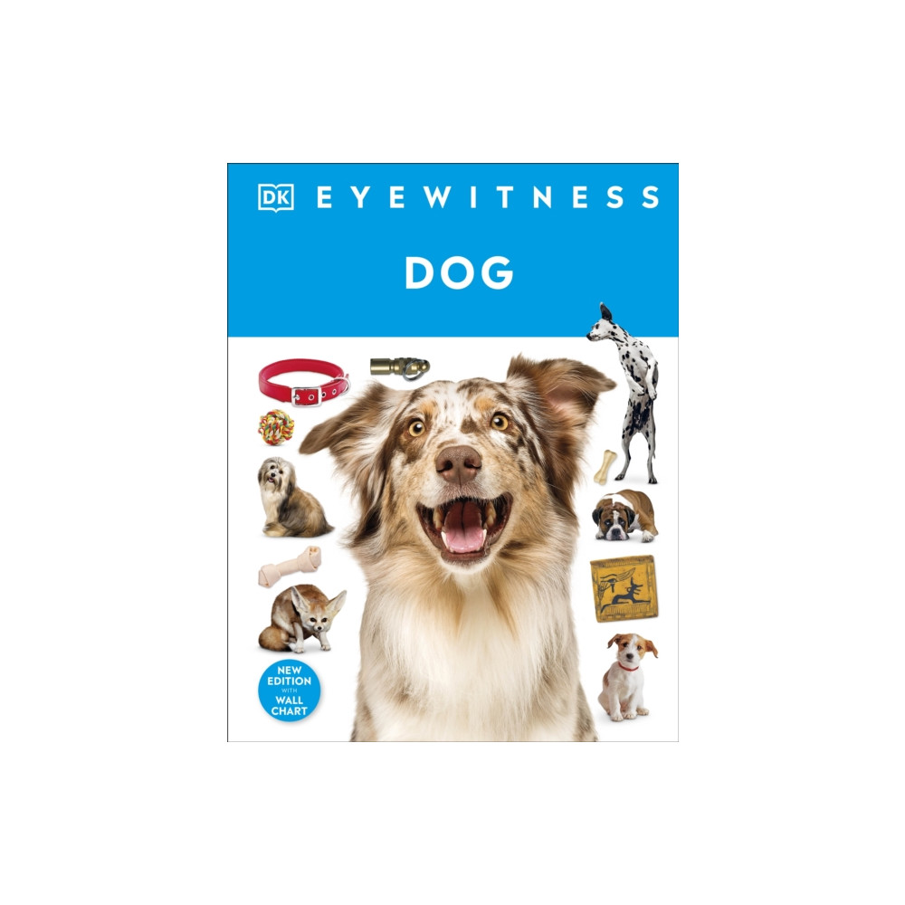 Produktbild för Eyewitness Dog (inbunden, eng)