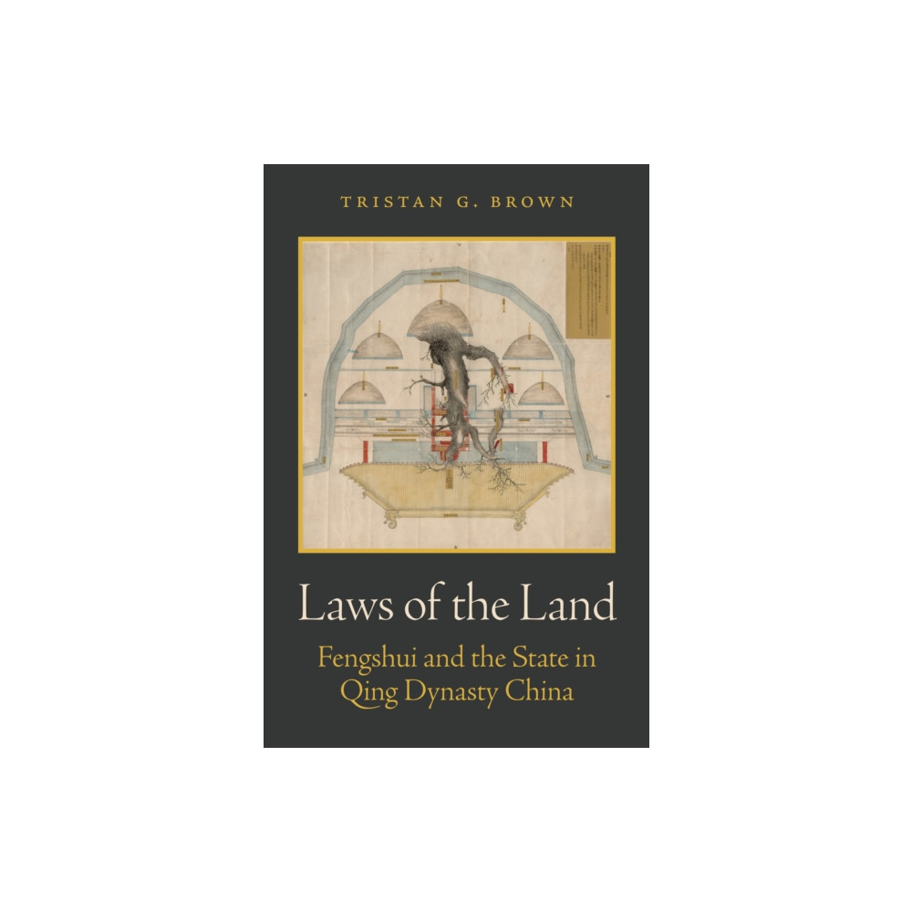 Produktbild för Laws of the Land (häftad, eng)