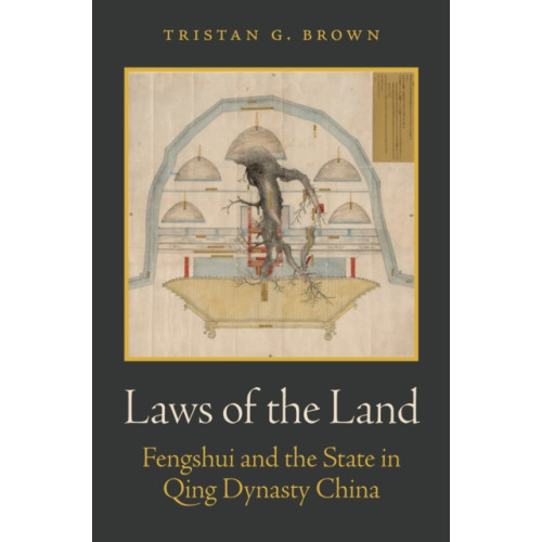 Princeton University Press Laws of the Land (häftad, eng)