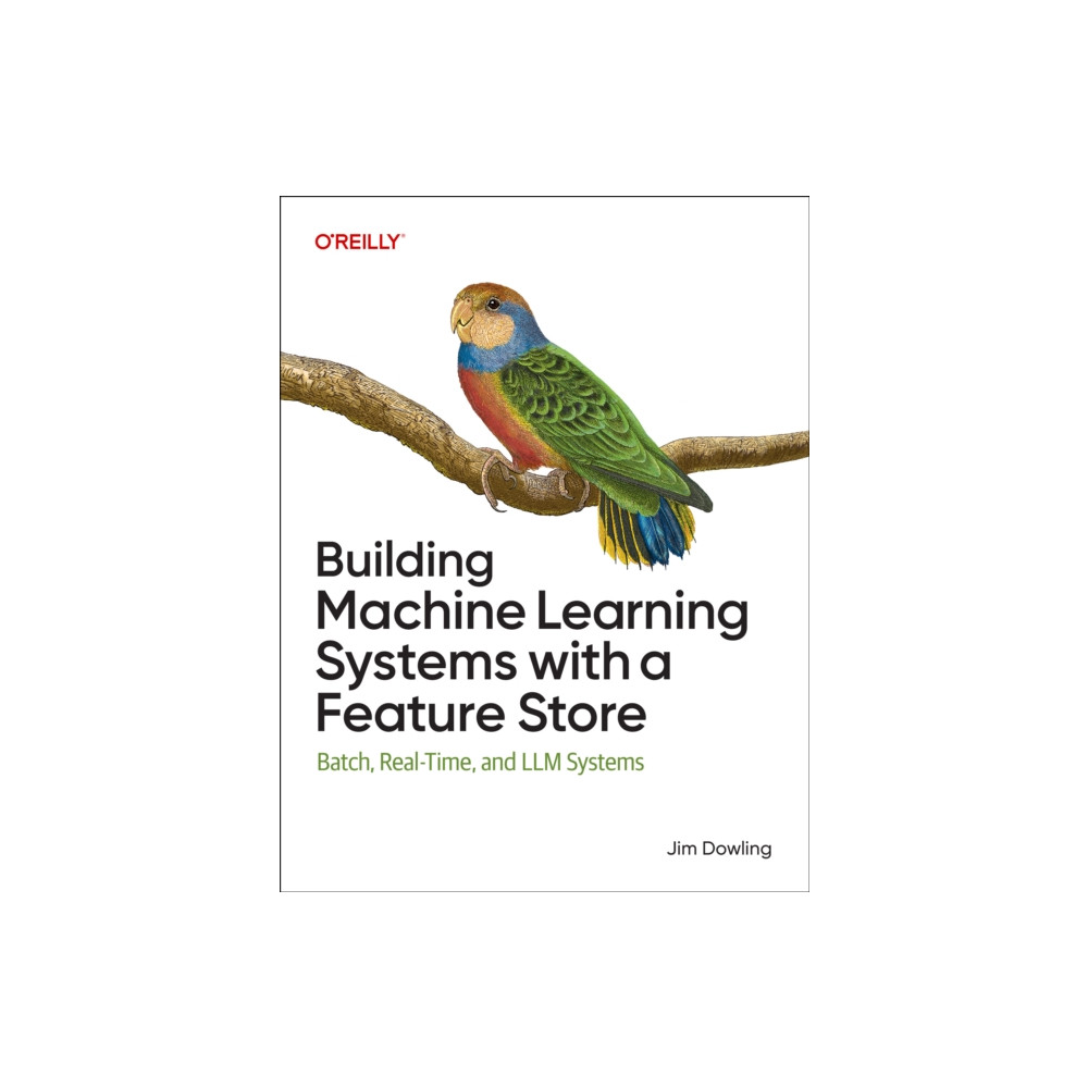 Produktbild för Building Machine Learning Systems with a Feature Store (häftad, eng)