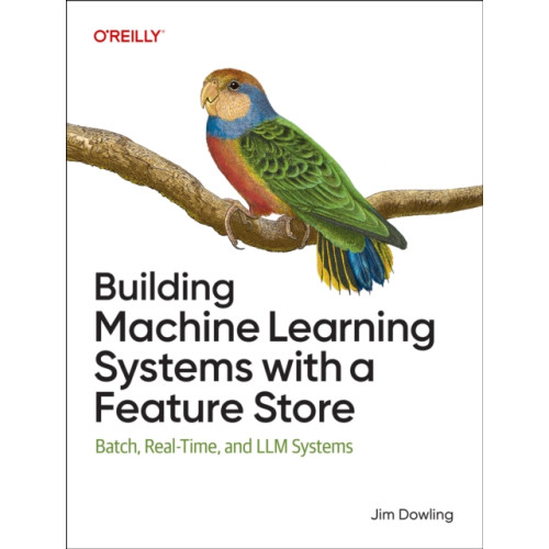 O'Reilly Media Building Machine Learning Systems with a Feature Store (häftad, eng)