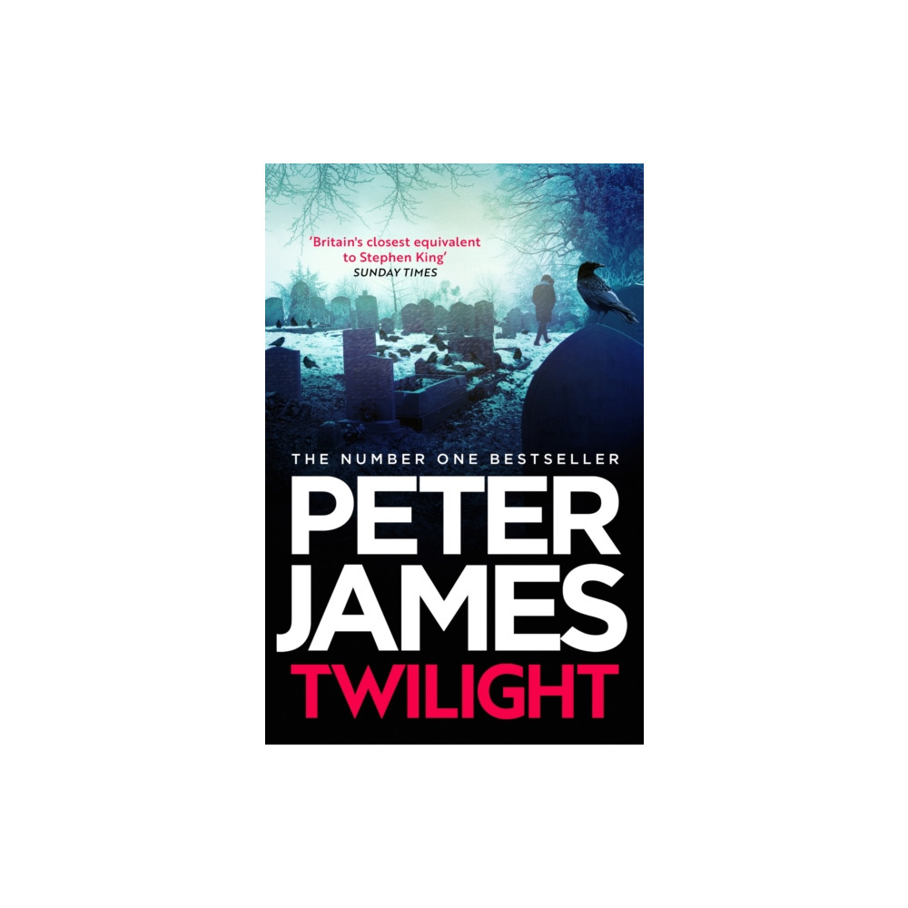 Produktbild för Twilight (häftad, eng)