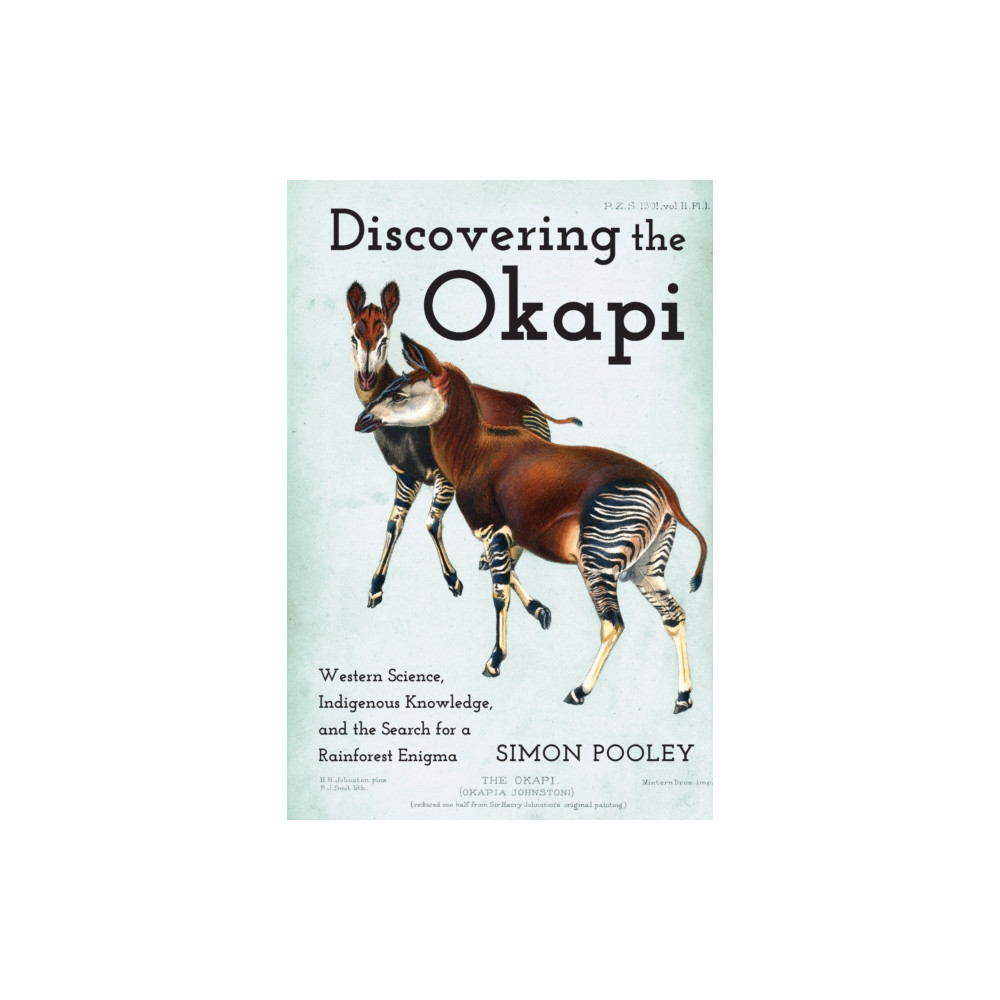Produktbild för Discovering the Okapi (häftad, eng)