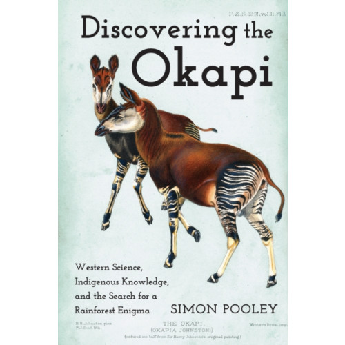 Johns Hopkins University Press Discovering the Okapi (häftad, eng)