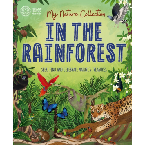 Hachette Children's Group My Nature Collection: In the Rainforest (häftad, eng)