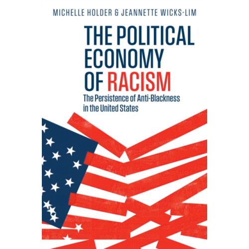 John Wiley And Sons Ltd The Political Economy of Racism (häftad, eng)