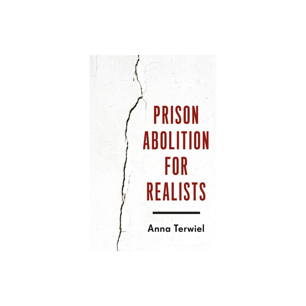 Produktbild för Prison Abolition for Realists (häftad, eng)