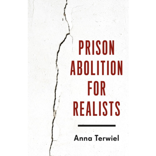 University of Minnesota Press Prison Abolition for Realists (häftad, eng)