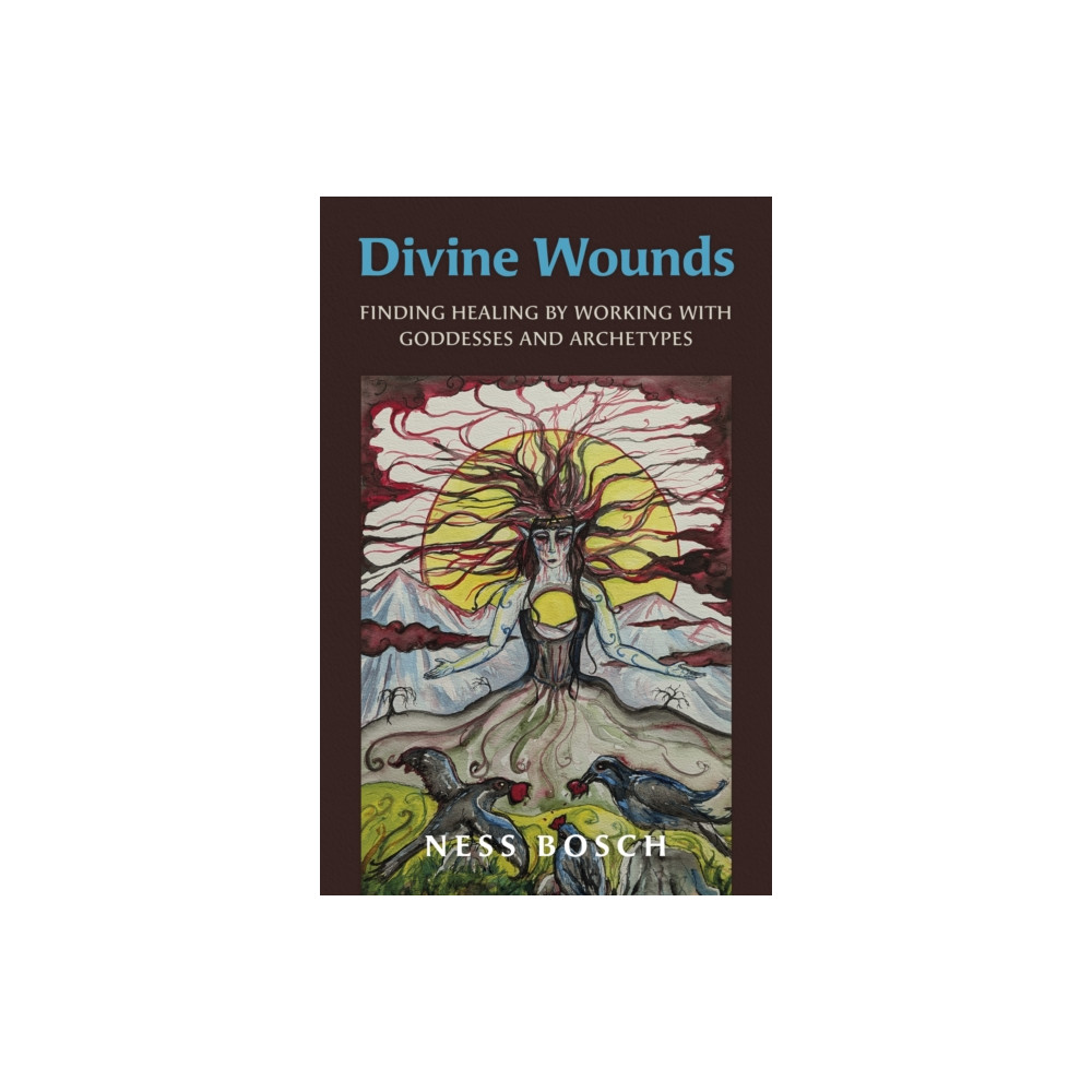 Produktbild för Divine Wounds (häftad, eng)