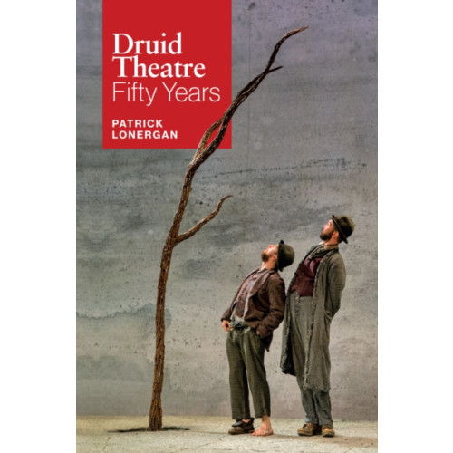 The Lilliput Press Ltd Druid Theatre (inbunden, eng)