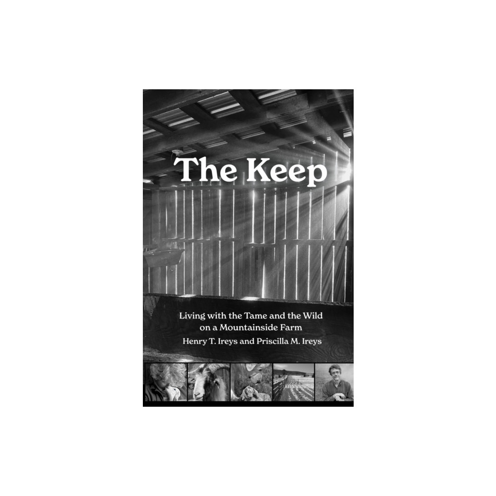 Produktbild för The Keep (häftad, eng)