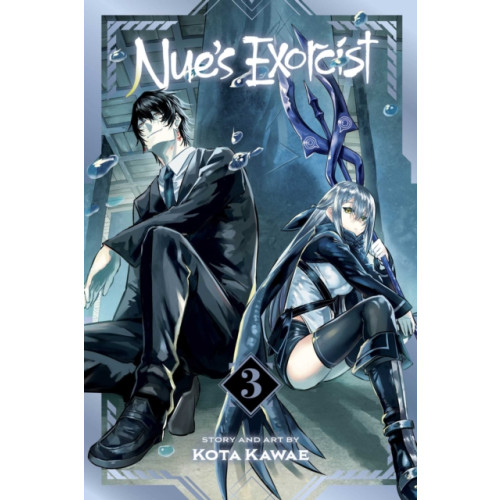Viz Media, Subs. of Shogakukan Inc Nue's Exorcist, Vol. 3 (häftad, eng)