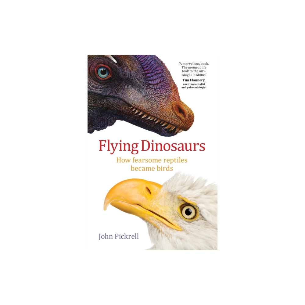 Produktbild för Flying Dinosaurs (häftad, eng)