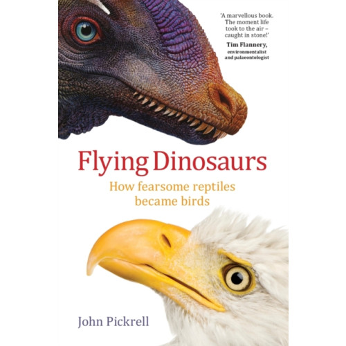 NewSouth Publishing Flying Dinosaurs (häftad, eng)