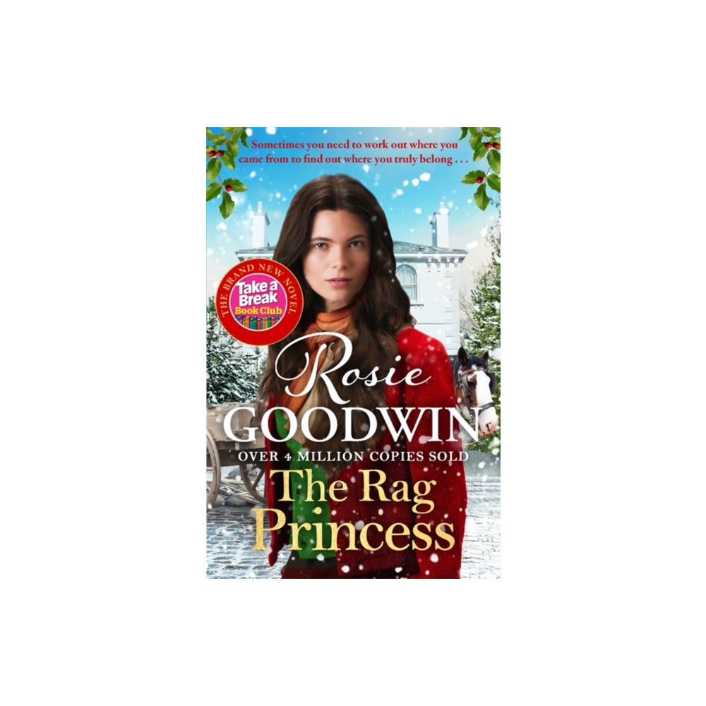 Produktbild för The Rag Princess (häftad, eng)