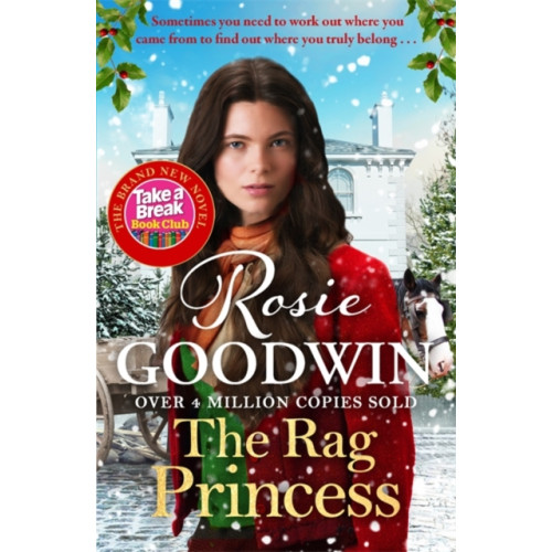 Bonnier Books Ltd The Rag Princess (häftad, eng)