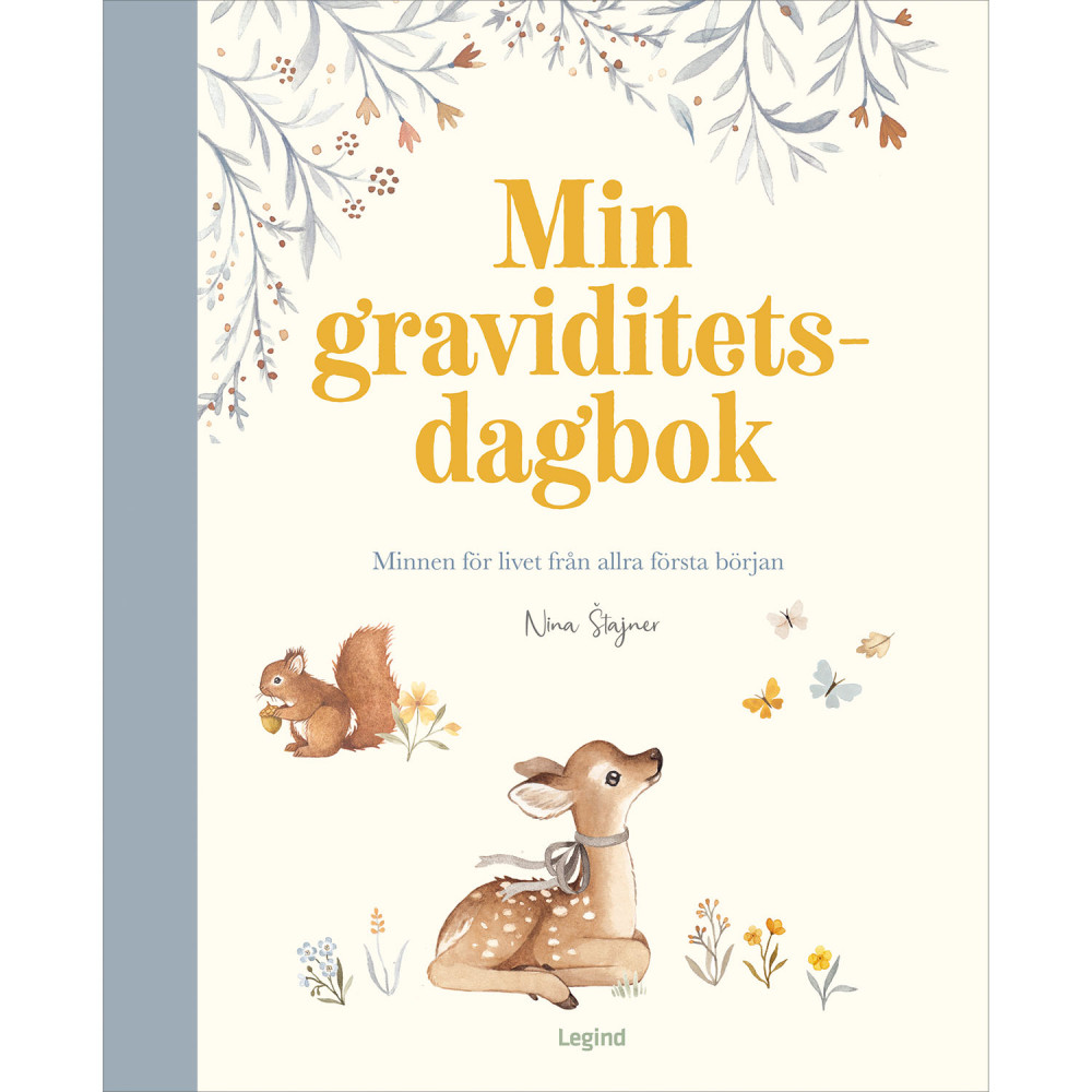 Produktbild för Min graviditetsdagbok: en fylla-i-bok