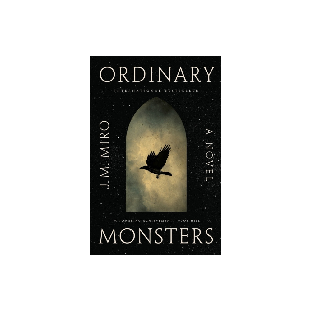 Produktbild för The Ordinary Monsters (häftad, eng)