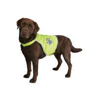 Produktbild för TRIXIE 30083, L, Grön, Bild, Polyester, 48