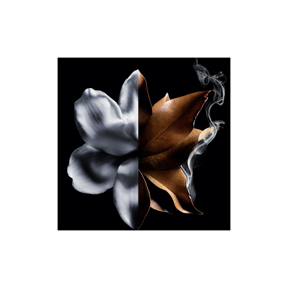 Produktbild för Givenchy L'Interdit Absolu Eau De Parfum Intense 50 ml (woma...