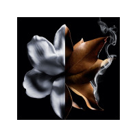 Produktbild för Givenchy L'Interdit Absolu Eau De Parfum Intense 50 ml (woma...