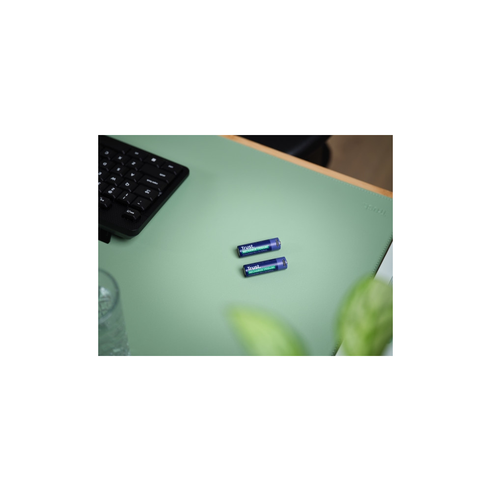 Produktbild för Trust batteri - USB-C - 2 x AA-typ