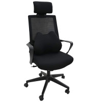 Produktbild för Ryggkudde Svart Minneskum 40 x 32 x 13 cm