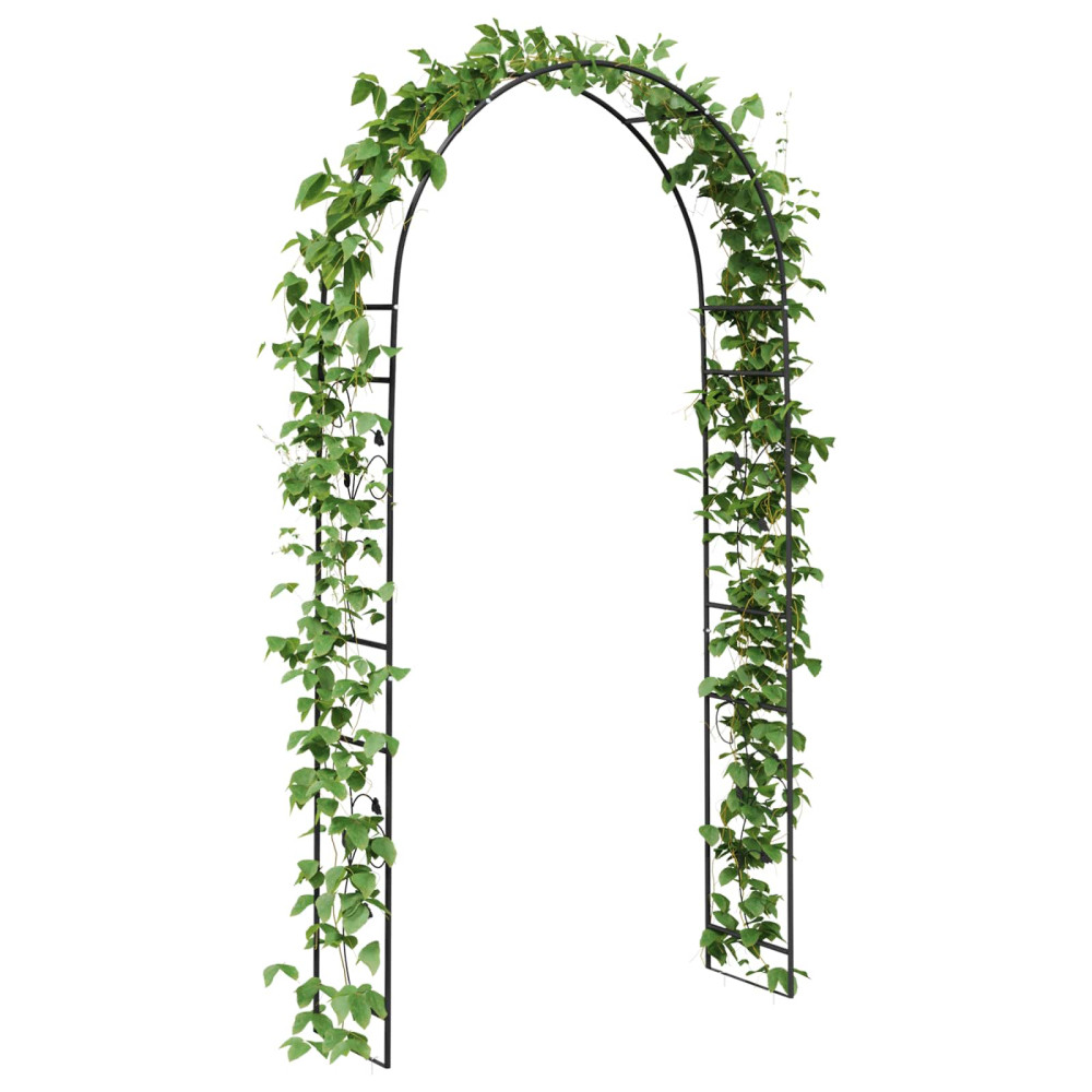 Produktbild för Trädgårdsbåge Blommor Svart 115 x 37 x 231 cm