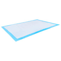 Produktbild för Icke-vävd tyg för husdjurs träning pad 300 pcs 120 x 80 cm