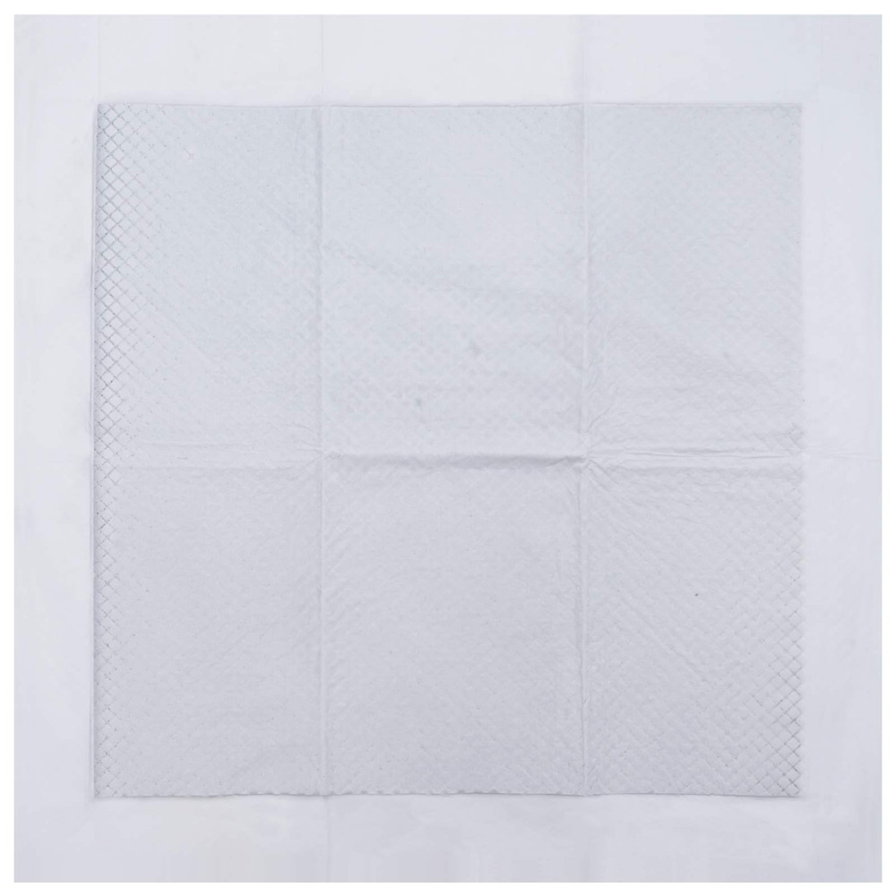 Produktbild för Icke-vävd tyg för husdjurs träning pad 400 pcs 60 x 60 cm