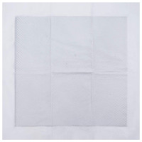 Produktbild för Icke-vävd tyg för husdjurs träning pad 400 pcs 60 x 60 cm