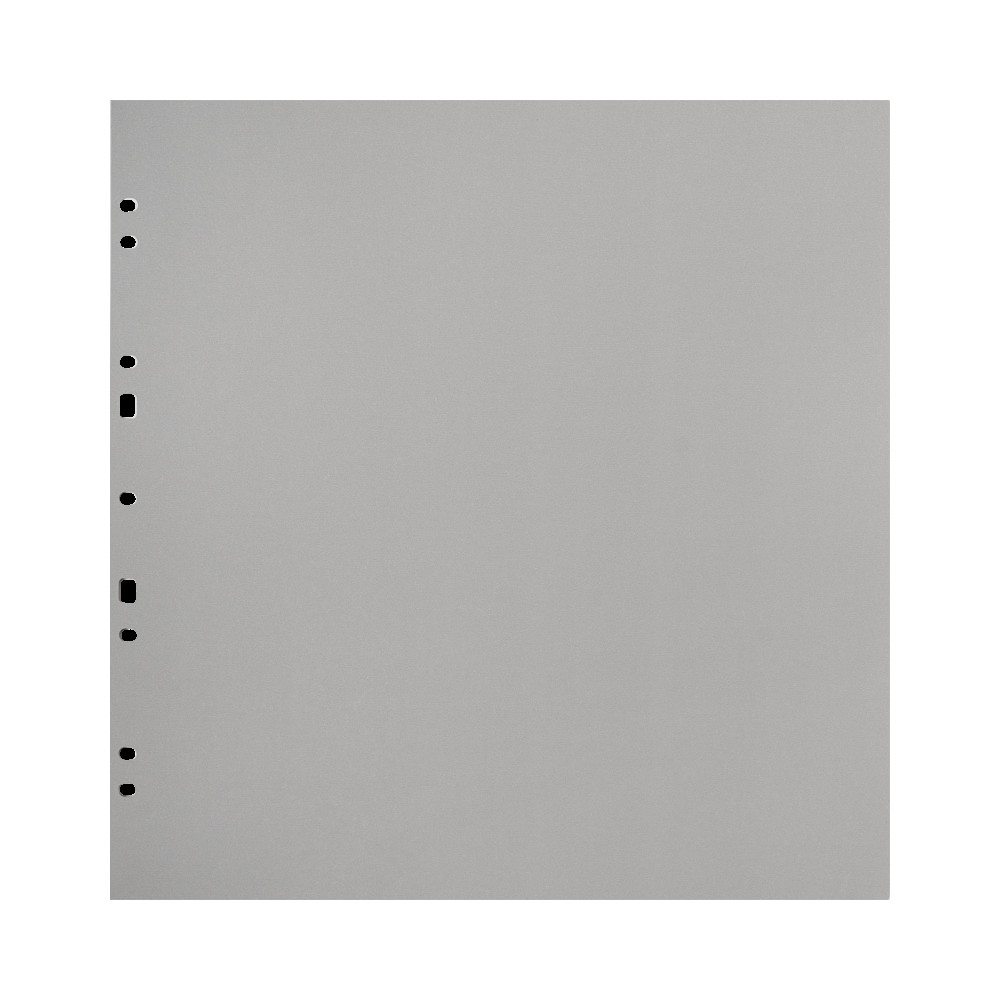 Produktbild för Focus Carton Refillsheets for Ringbinder Gigant Grey 10-pack