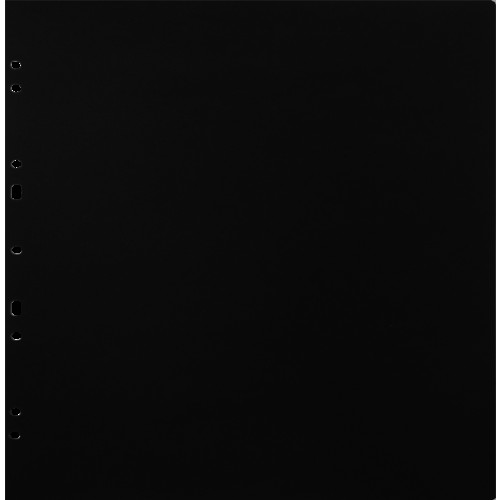 FOCUS Focus Carton Refillsheets for Ringbinder Gigant Black 10-pack
