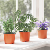 Produktbild för Rund Blomkruka 100 pcs Terracotta Ø 10 x 8 cm Plast
